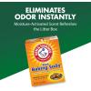 ARM & HAMMER Cat Litter Deodorizer Double Duty, 30 oz, 6 Pack(1.2 Pound (Pack of 1))