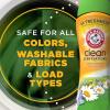 ARM & HAMMER Clean Scentsations In-Wash Scent Booster, Laundry Scent Booster Clean Meadow scent, 24 Oz(24 Ounce (Pack of 1))