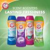 ARM & HAMMER Clean Scentsations In-Wash Scent Booster, Laundry Scent Booster Clean Meadow scent, 24 Oz(24 Ounce (Pack of 2))