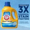 ARM & HAMMER Clean & Simple, 77 Loads Liquid Laundry Detergent, 100.5 Fl oz