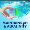 ARM & HAMMER Clear Balance Swimming Pool Alkalinity pH Maintenance Tablets, White, 1 Pack, 24 Count(24 Count)