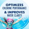 ARM & HAMMER Clear Balance Swimming Pool Alkalinity pH Maintenance Tablets, White, 1 Pack, 24 Count(24 Count)