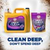 ARM & HAMMER™ Deep Clean Odor Formula Liquid Laundry Detergent, Laundry Odor Remover, Radiant Burst Scent, 150 Fl Oz, 100 Loads(150 Fl Oz (Pack of 1))