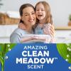 ARM & HAMMER Plus OxiClean Clean Meadow, 77 Loads Liquid Laundry Detergent, 100.5 fl oz(100.5 Fl Oz (Pack of 1))