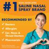 ARM & HAMMER Simply Saline Nighttime Drug-Free Mist for Nasal Congestion at Night, Extra Strength, Calming Eucalyptus, Safe to Use with Rx and OTC, For Adults and Kids Ages 2+, 4.6 oz (129 g)(Nasal Mist)