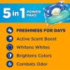 Arm & Hammer Clean Burst 5-in-1 Laundry Detergent Power Paks, High Efficieny (HE), 42 Count(Clean Burst)