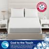 Arm & Hammer Cooling Comfort Fitted Mattress Protector, Full(Queen)