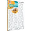 Arm & Hammer Enhanced Air Filter, 12x20x1, 4-Pack