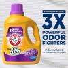 Arm & Hammer Plus OxiClean Odor Blasters Fresh Burst, 160 Loads Liquid Laundry Detergent, 208 Fl oz(100.5 Fl Oz (Pack of 2))