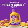 Arm & Hammer Plus OxiClean Odor Blasters Fresh Burst, 160 Loads Liquid Laundry Detergent, 208 Fl oz(166.5 Fl Oz (Pack of 1))