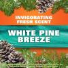 Hefty Ultra Strong 30 Gallon Trash Bags, Large Trash Bags 30 Gallon Size, Multipurpose, Break Resistant Drawstring Closure, Resists Leaks, Punctures, and Tears, Black, White Pine Breeze Scent, 25 Bags(25 Count (Pack of 1))