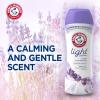 ARM & HAMMER Light In-Wash Scent Booster, Laundry Scent Booster Lavender Escape scent, 24 Oz(24 Ounce (Pack of 2))