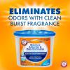 Arm & Hammer Essentials Disposable Moisture Absorber and Odor Eliminator Tub, Fragrance Free, 1 lb., Attracts and Traps Excess Moisture, Ideal Closet Dehumidifier (Pack of 3)(Clean Burst)