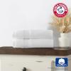 Arm & Hammer Quick Dry Hand Towels, 2 Piece, Light Blue(Light Blue)