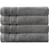 Arm & Hammer Super Soft Bath Towels, 4 Piece, Dark Blue(Grey)