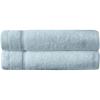 Arm & Hammer Super Soft Hand Towels, 2 Piece, Light Blue(Light Blue)